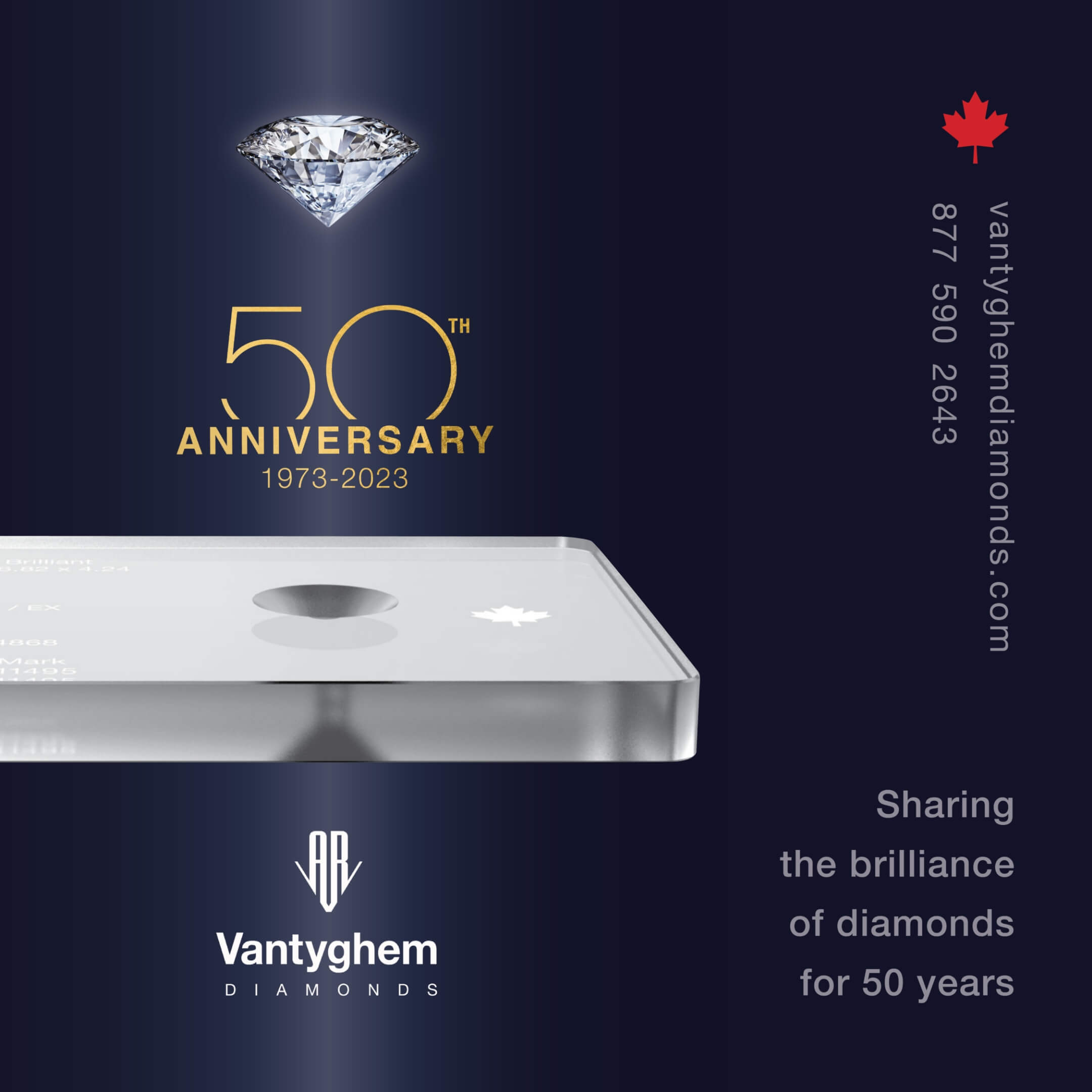 Vantyghem anniversary key visual