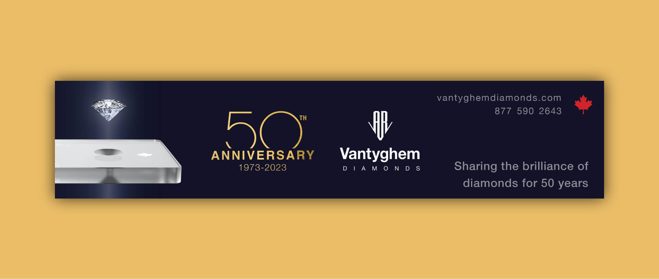 Vantyghem anniversary digital banner ad